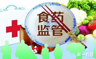 山東棗莊啟動春節期間食品藥品安全專項整治行動，聚焦藥品批發環節保障民生安全